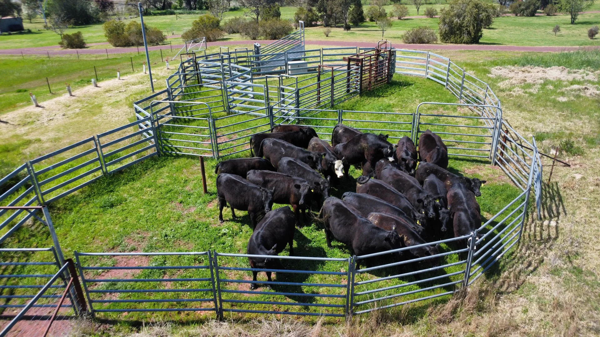 Additional image 15 of Young NSW 2594