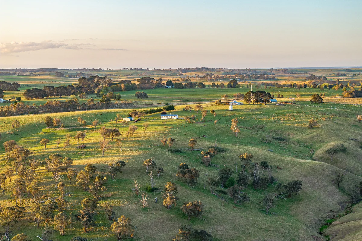 Additional image 19 of "Lochiel" 3234 Taralga Road, Tarlo NSW 2580