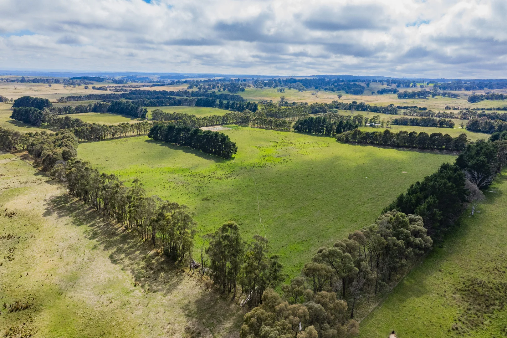 Additional image 30 of 251 Mount Rae Road, Roslyn NSW 2580