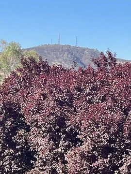 Additional image 6 of 2A Osnaburg Road, York WA 6302