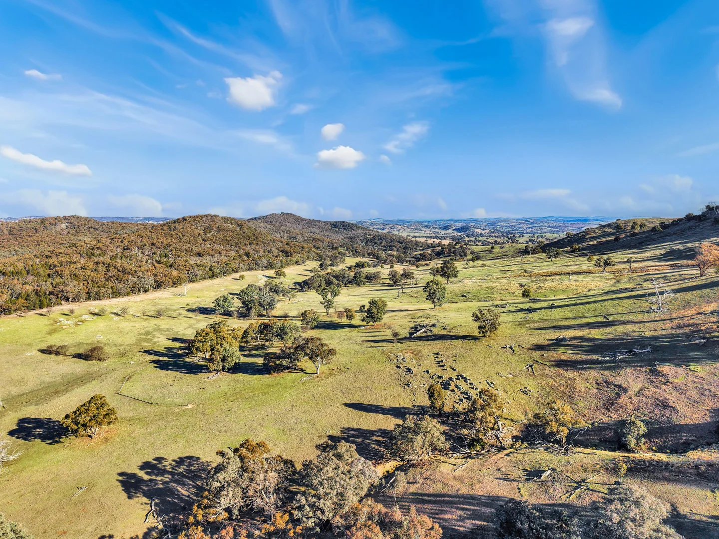 Additional image 6 of 333 Mount Darling Road, Reids Flat NSW 2586