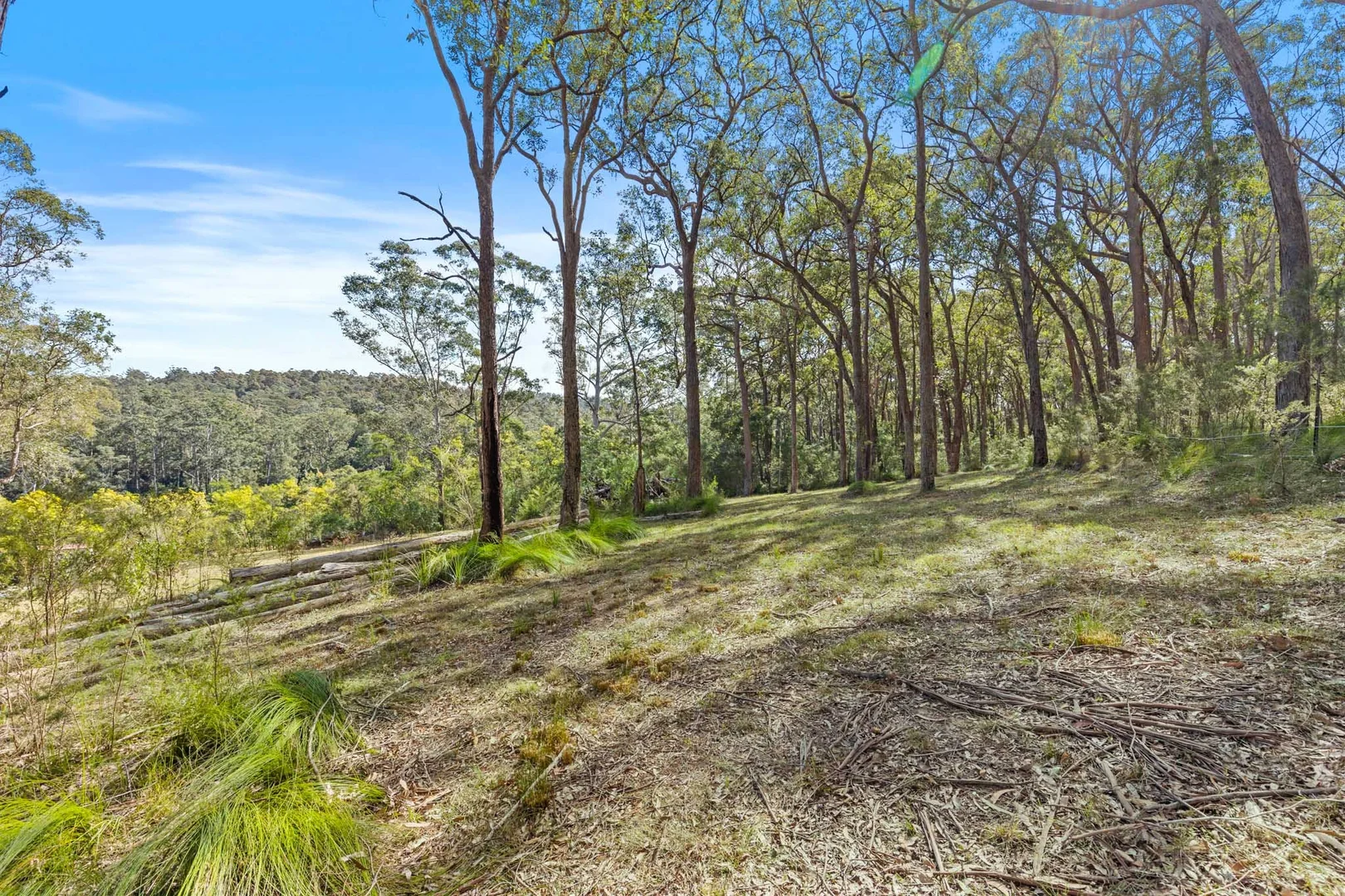 Additional image 17 of 1 Sheas Road, Mogood NSW 2538