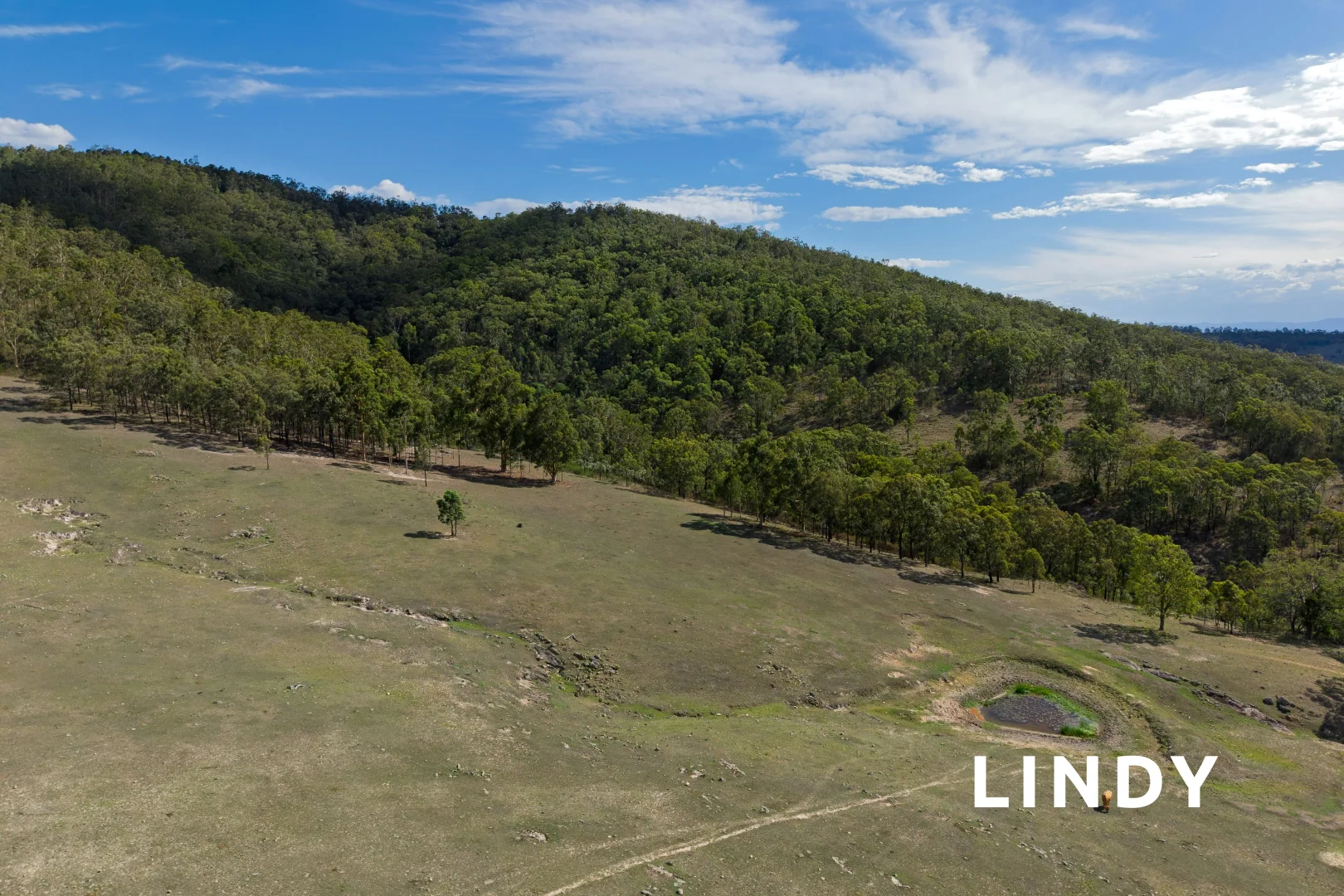 Additional image 20 of 89 Tangory Rise, Glendon Brook NSW 2330