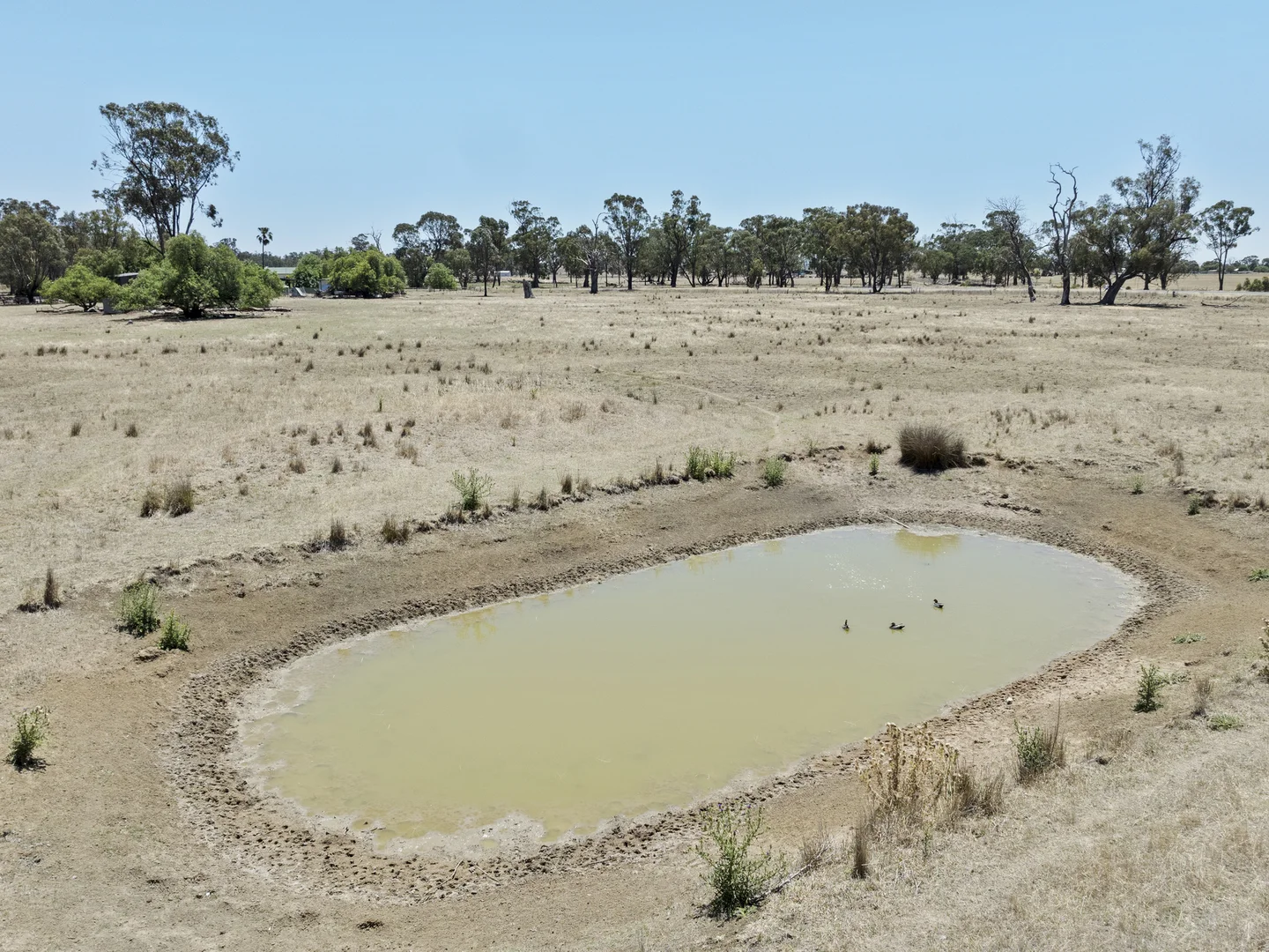 Additional image 4 of Harringtons Rd & Miepoll School Rd (either or both), Miepoll VIC 3666