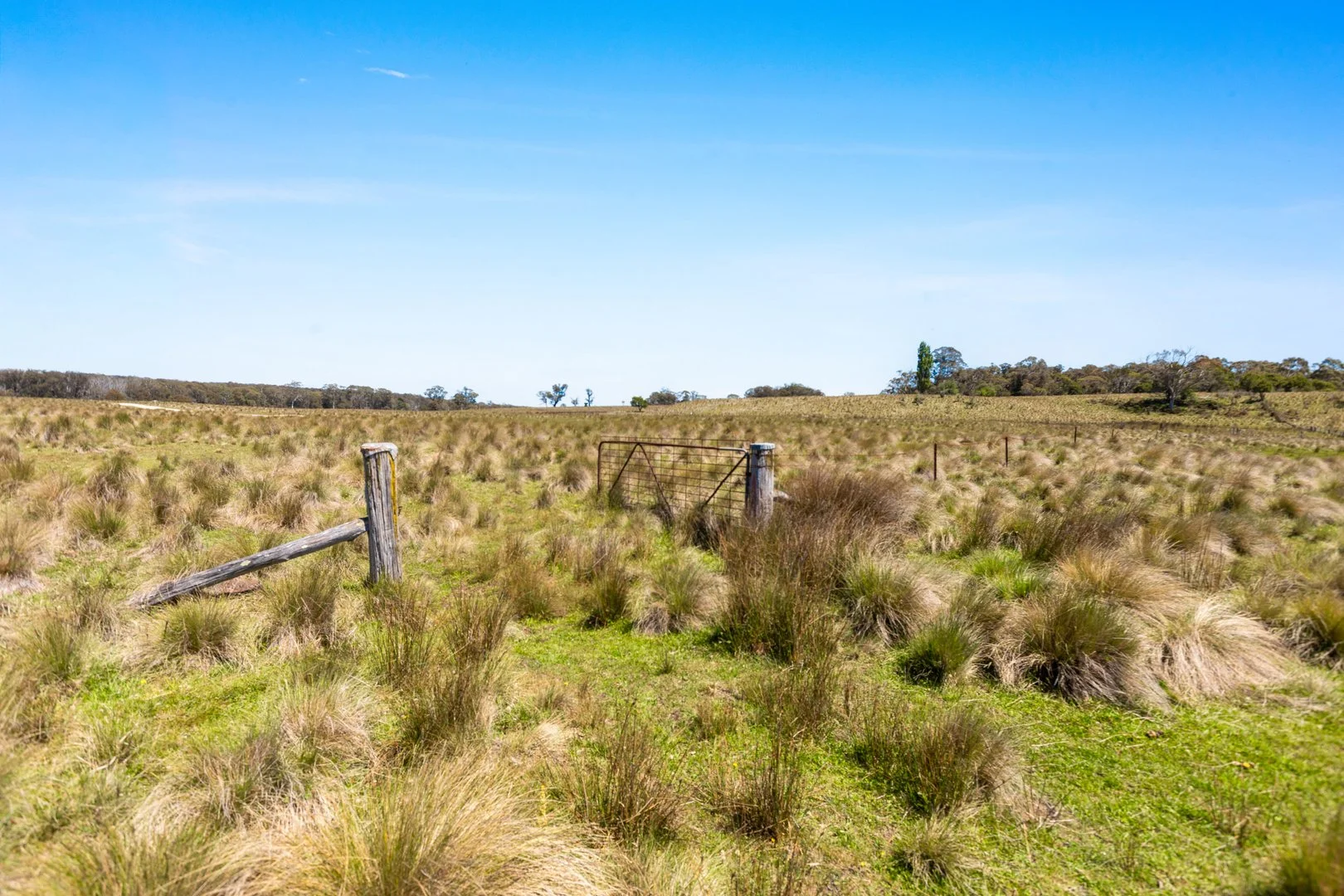 Additional image 14 of Thornleigh Coolangubra Road, Cathcart NSW 2632