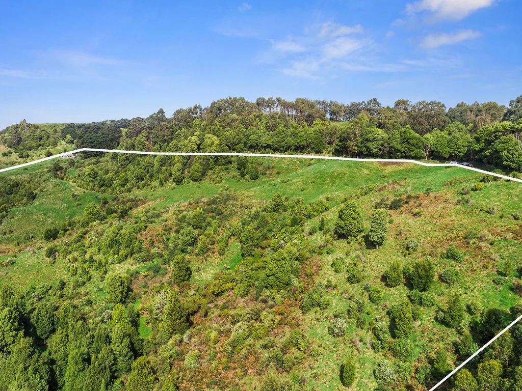 Additional image 25 of 775 Barham River Road, Apollo Bay VIC 3233