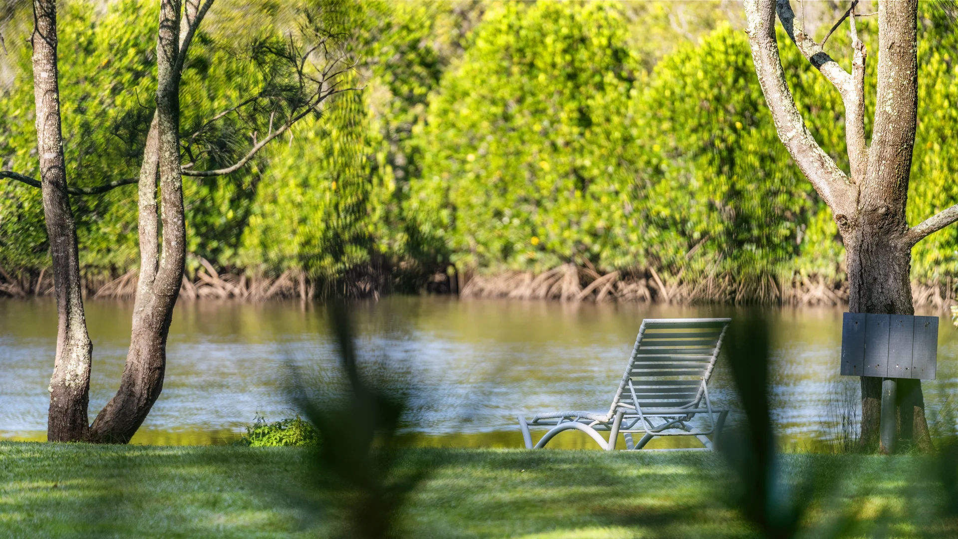 Additional image 28 of 365 North Street, Wooli NSW 2462