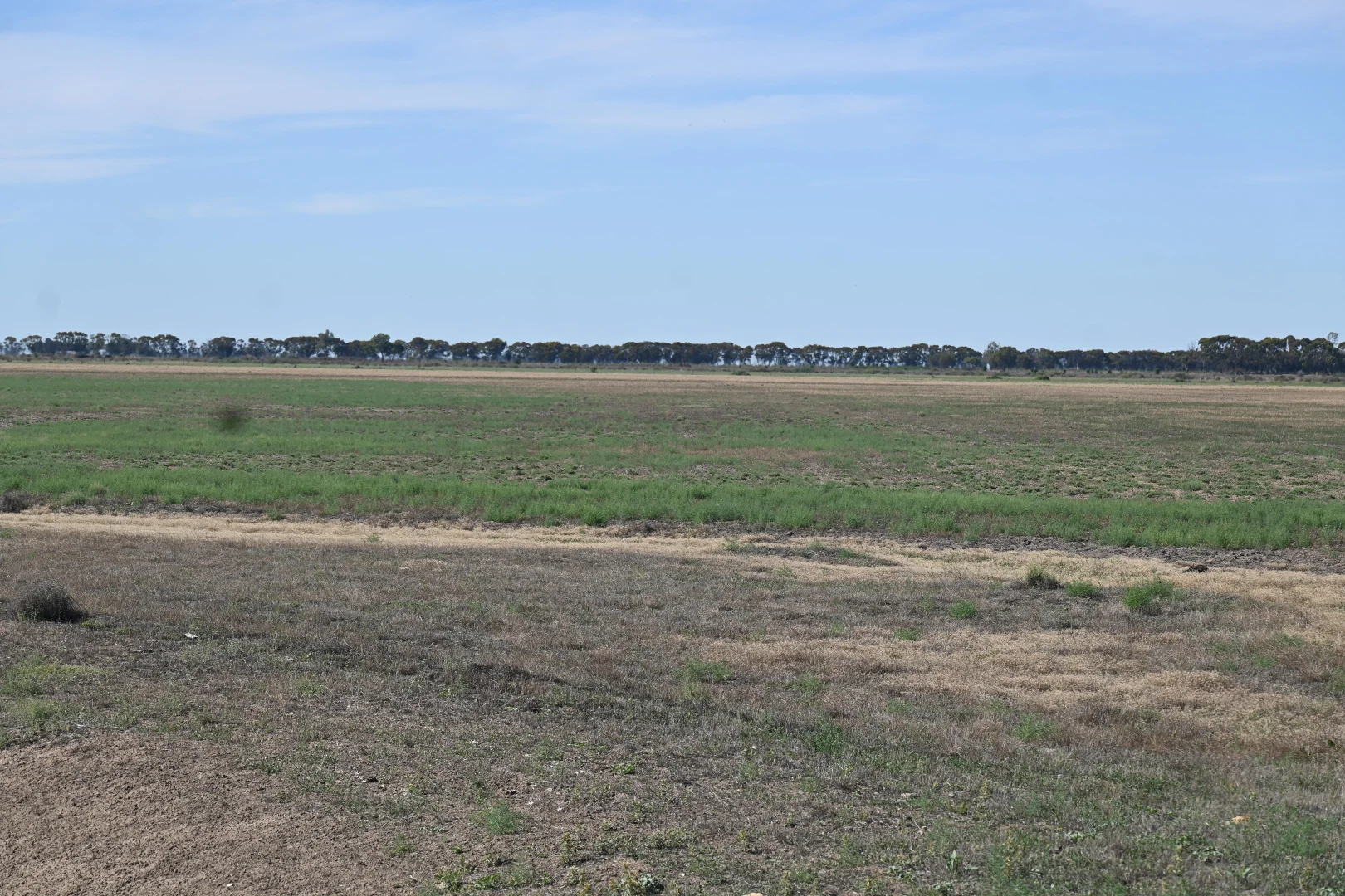 Additional image 35 of 594 Tragowel Road, Tragowel VIC 3579