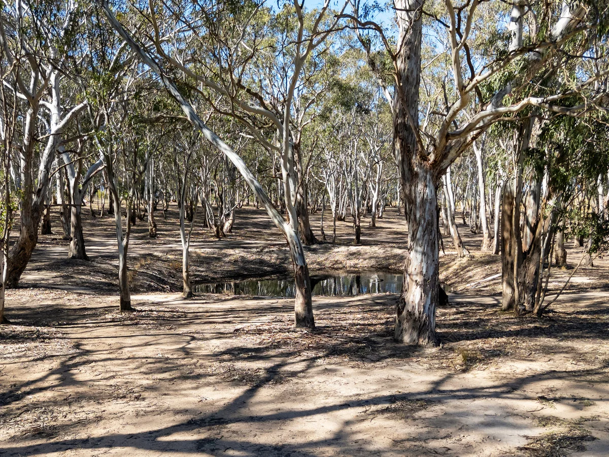 Additional image 4 of 1 Maffra-Briagolong Road, Maffra VIC 3860