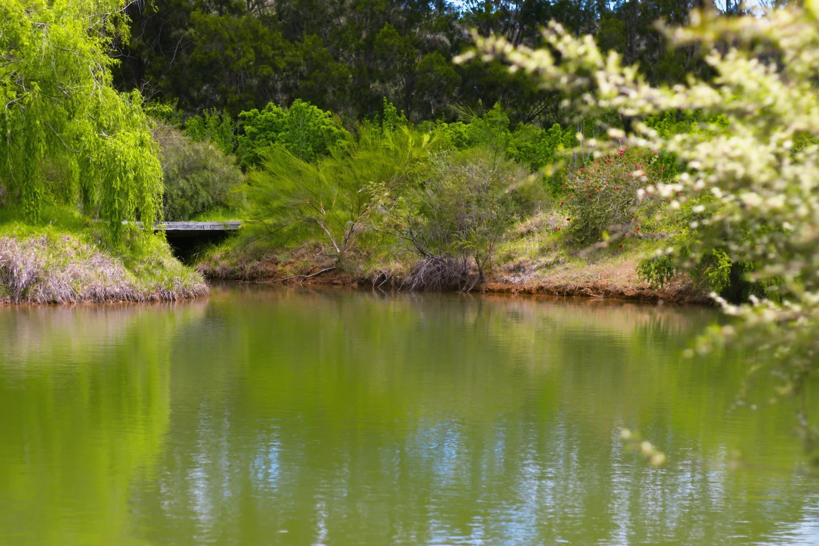 Additional image 11 of Lot PL 2/1120 Wildwood Road, Yallingup Siding WA 6282