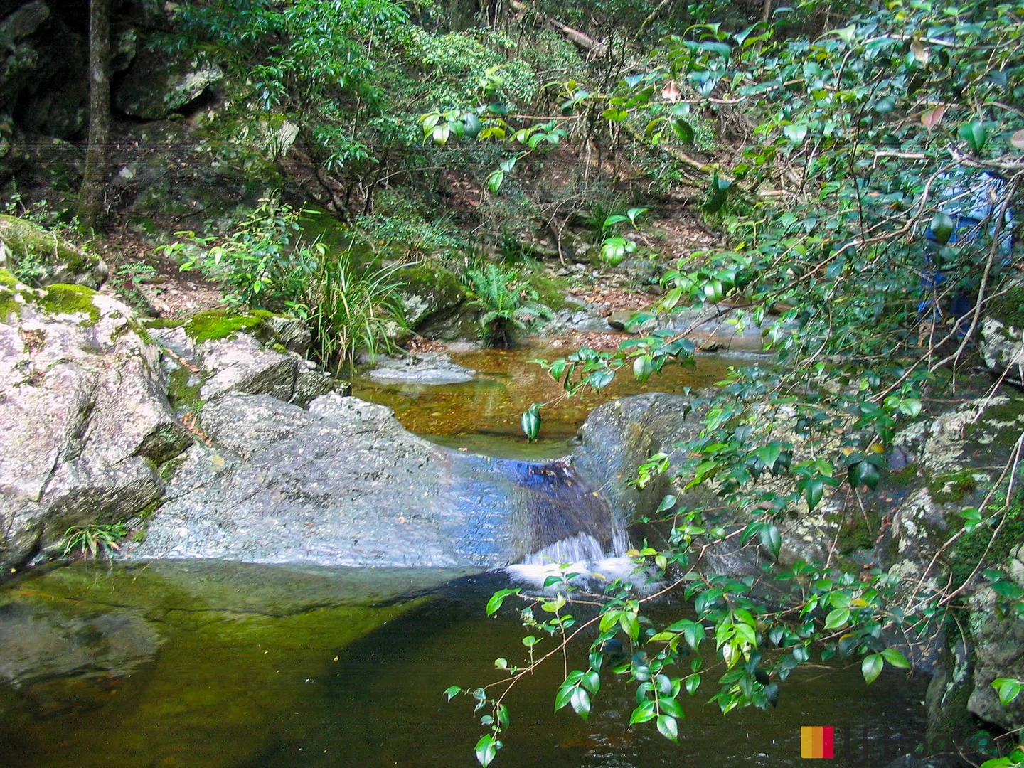 Additional image 9 of Lot 3 Pig Road, Currowan NSW 2536