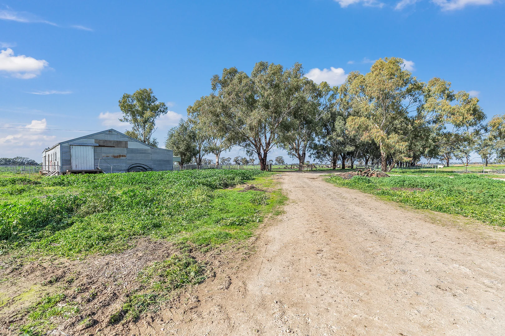 Additional image 46 of 341 Murray Valley Highway, Strathmerton VIC 3641