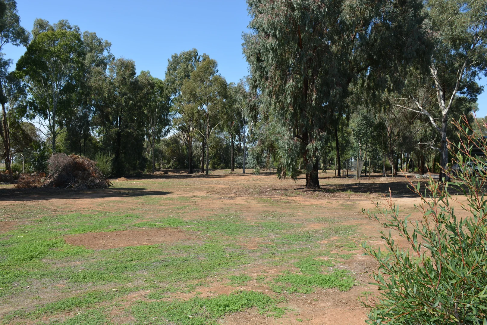 Additional image 8 of 112-114 Nangunia St, Barooga NSW 3644