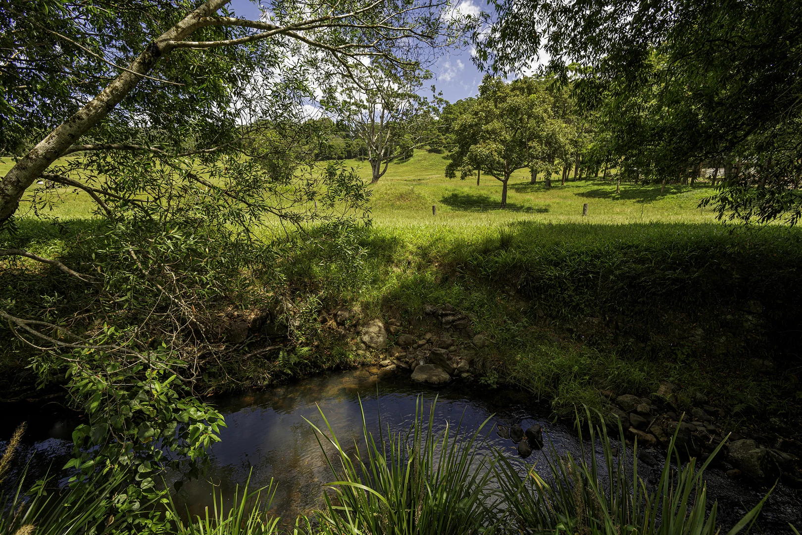 Additional image 21 of 492 River Road, Peachester QLD 4519