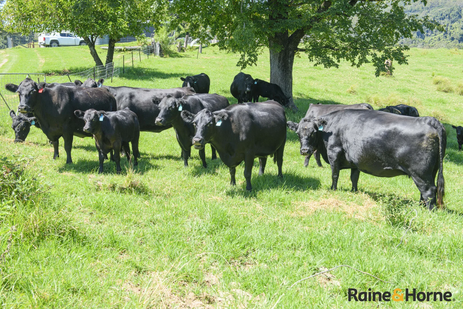 Additional image 7 of 1691 Coramba Road, Megan NSW 2453