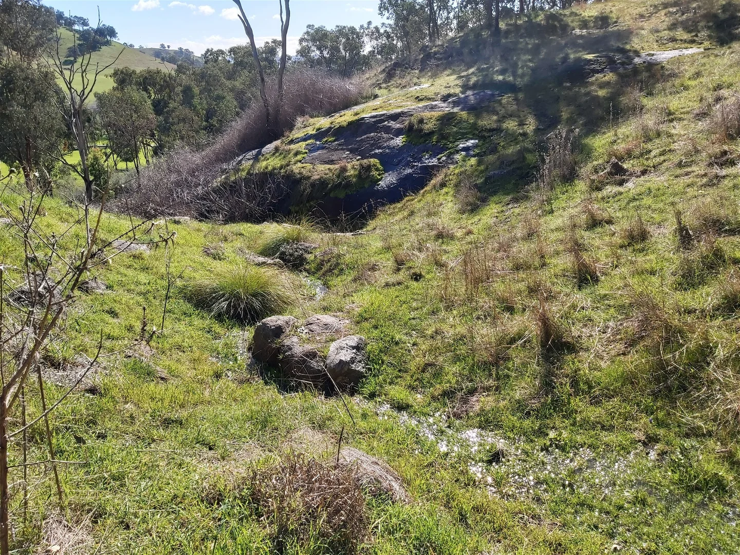 Additional image 18 of 189 Coyles Road, Wodonga VIC 3690