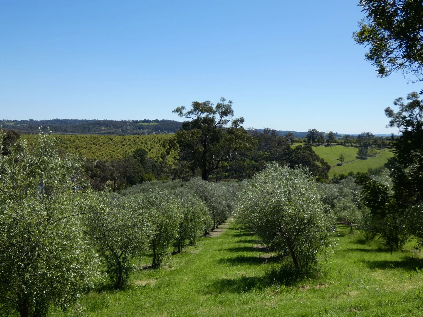 Additional image 24 of 21 Gruyere Road, Gruyere VIC 3770