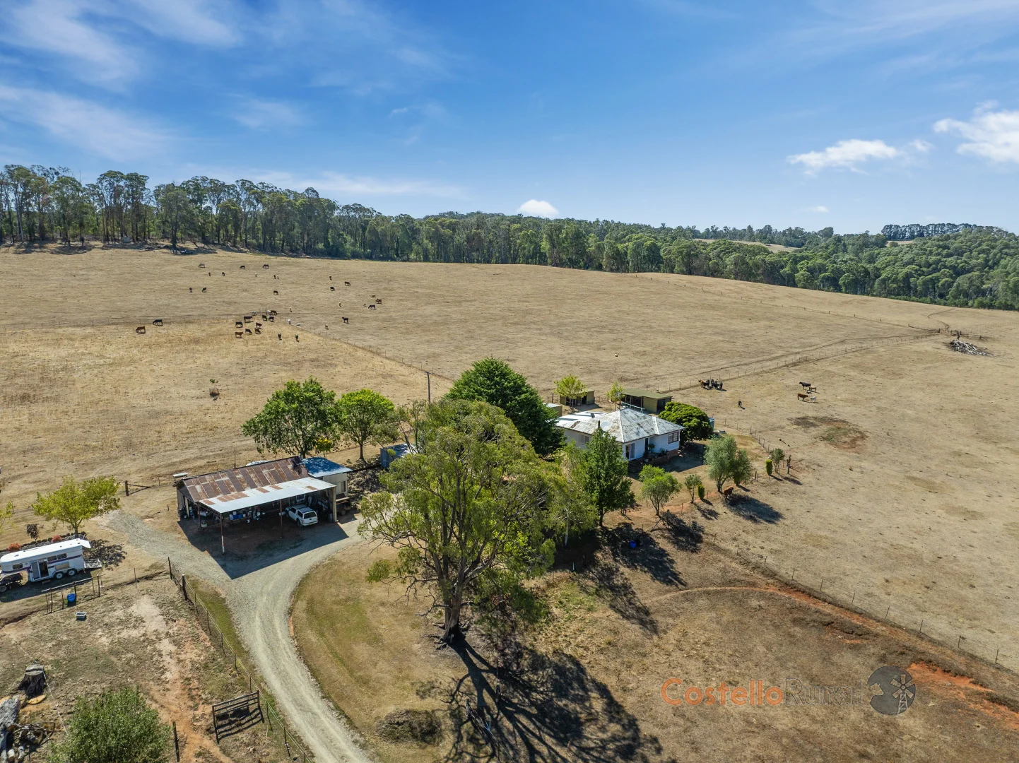 Additional image 12 of 195 Willigobung Road, Willigobung NSW 2653