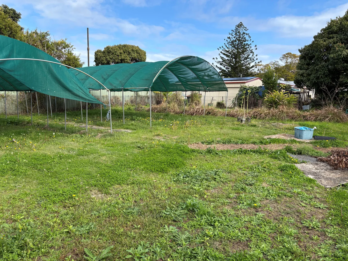 Additional image 2 of 45A Alice Street, Grafton NSW 2460