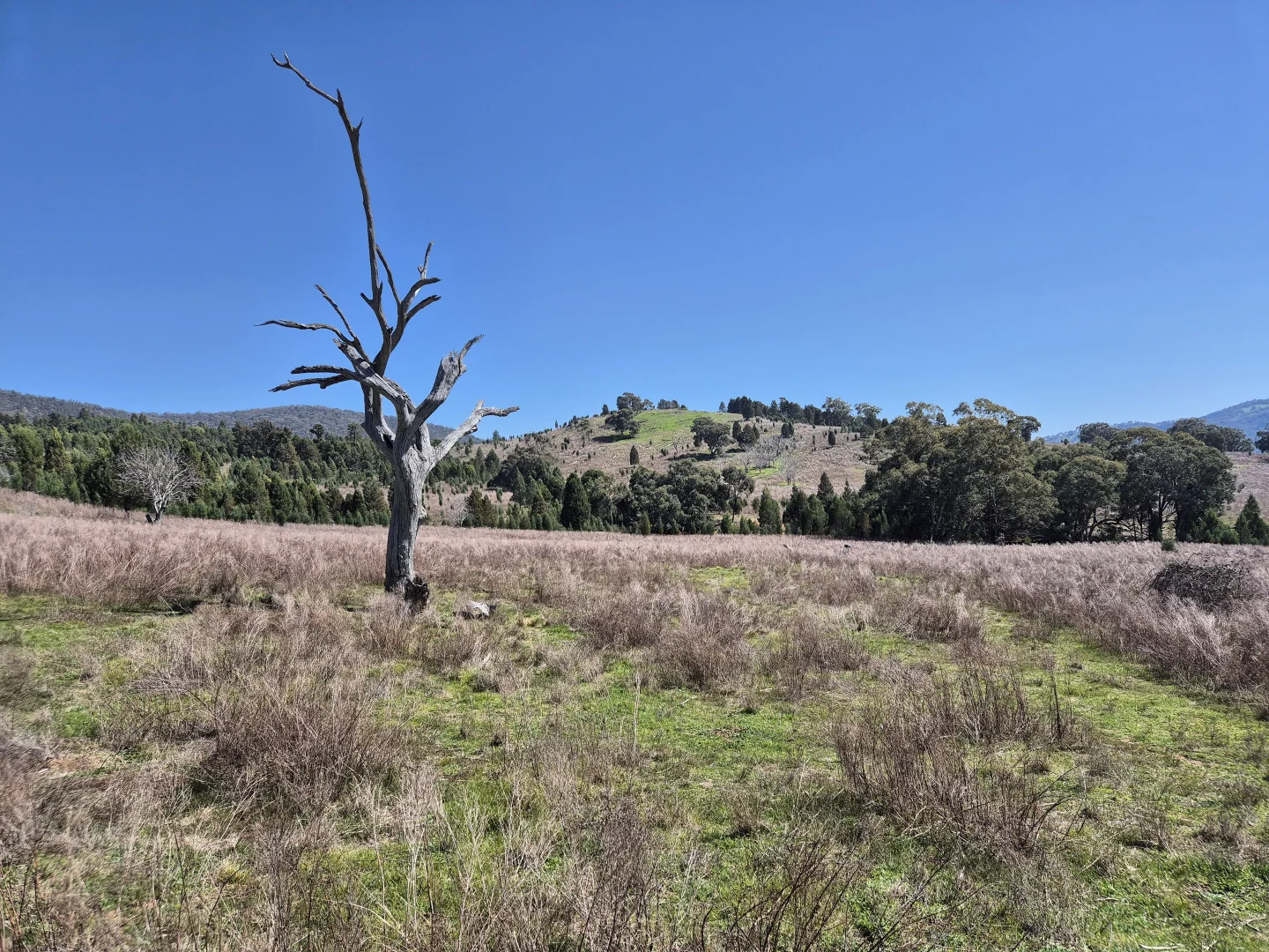 Additional image 9 of 46 Worlds End Rd, Yarrabin NSW 2850