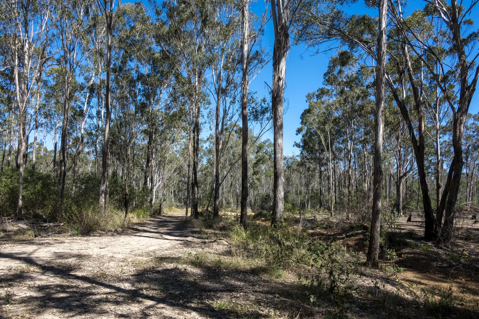 Additional image 4 of 151 Cameron Road, Taromeo QLD 4314