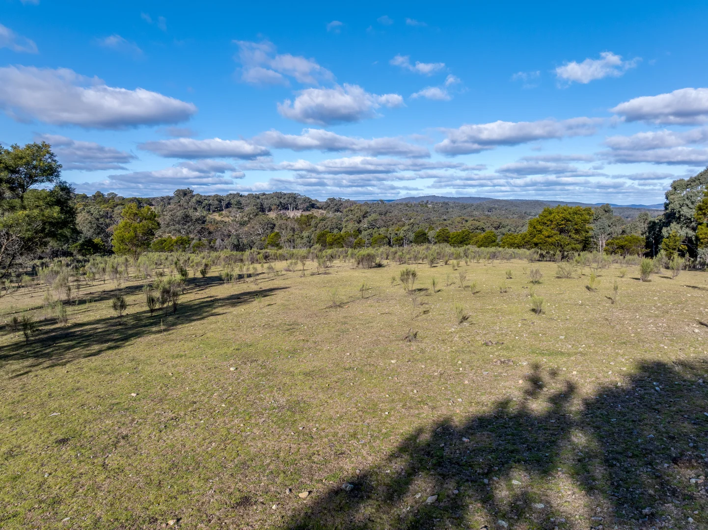Additional image 5 of 242 Marble Hill Road, Kingsdale via, Goulburn NSW 2580