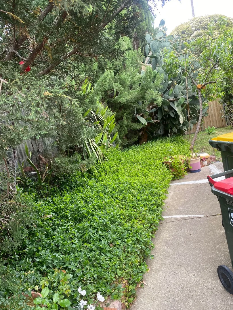 Additional image 43 of 36 Jamieson Street, St Albans VIC 3021