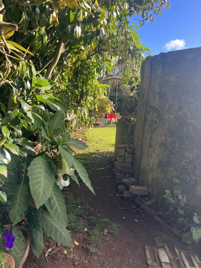 Additional image 41 of 19 Forrest Street, Naracoopa TAS 7256