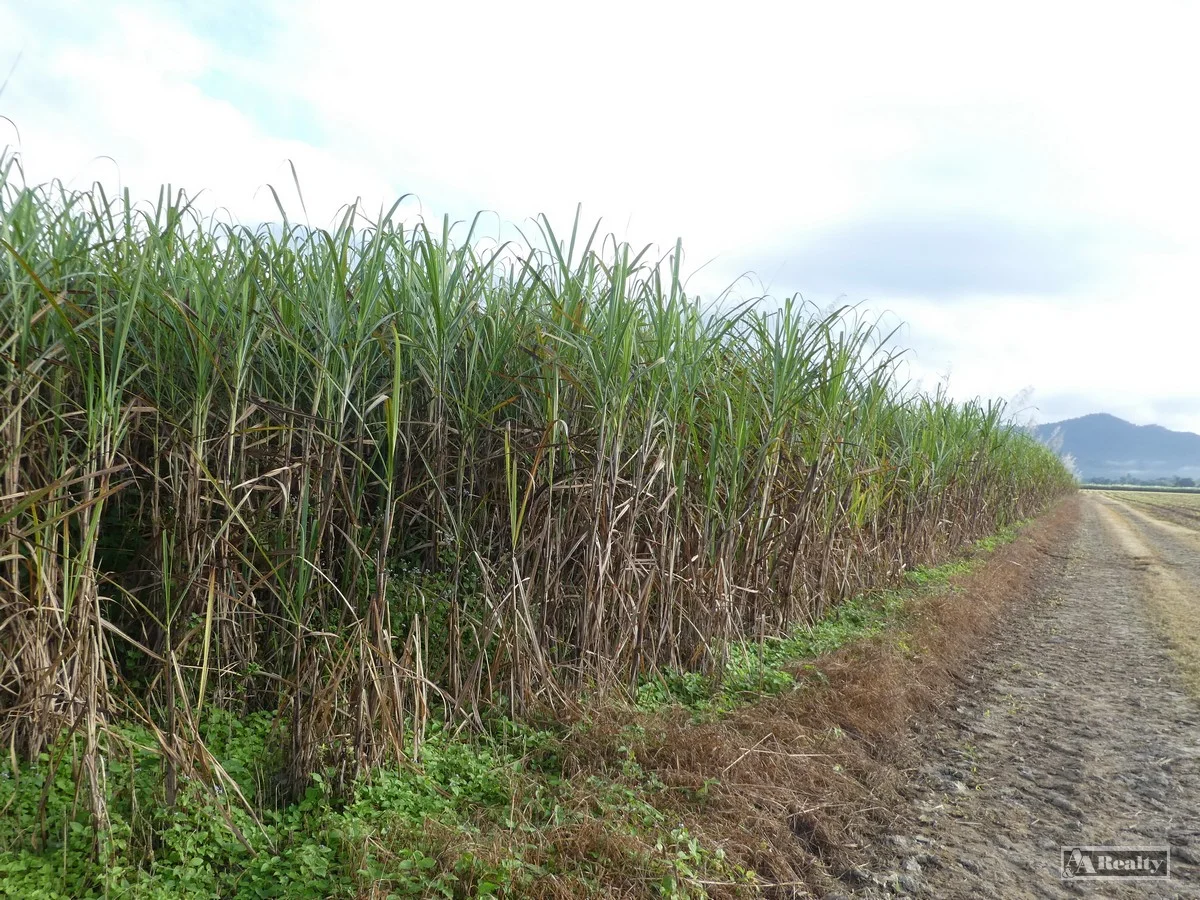 Additional image 3 of Midgenoo QLD 4854