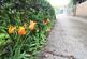 Additional image 13 of Brownlow Road, New Southgate N11