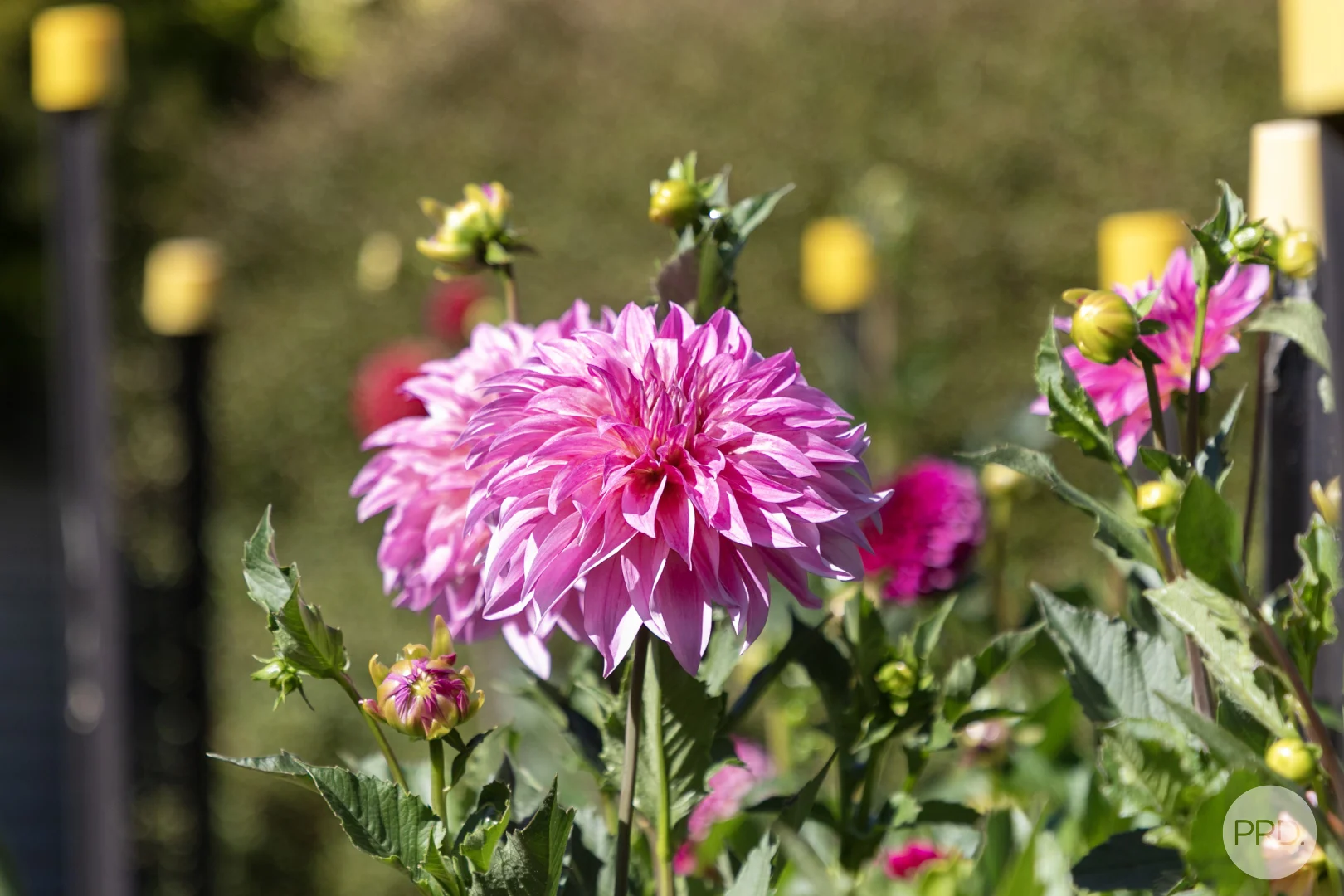 Additional image 18 of 9 Camp Street, Creswick VIC 3363