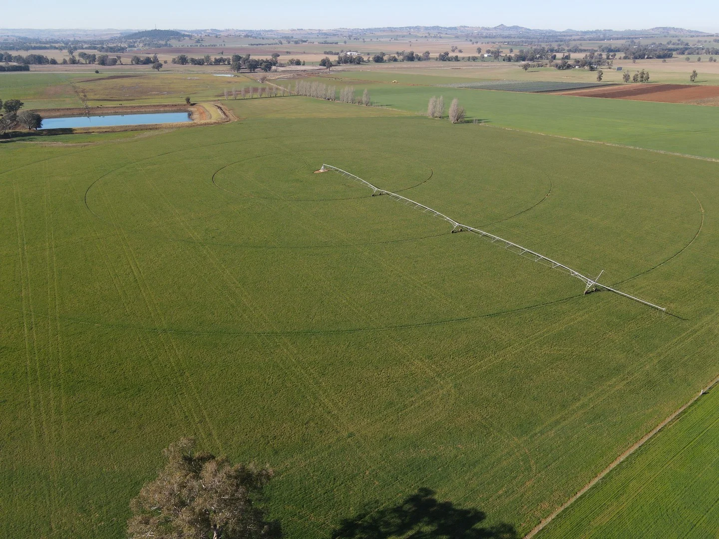 Additional image 13 of 349 Nangar Road, Canowindra NSW 2804