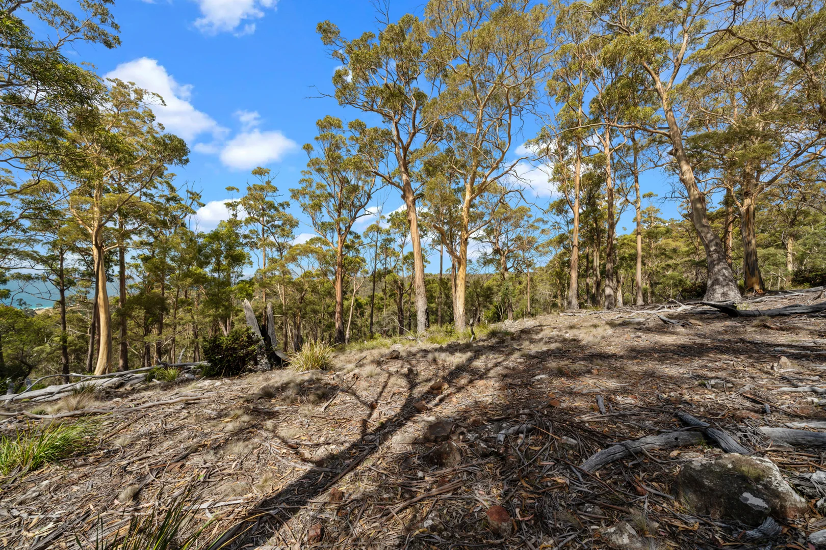 Additional image 27 of 108 Happy Valley Road, Spring Beach TAS 7190