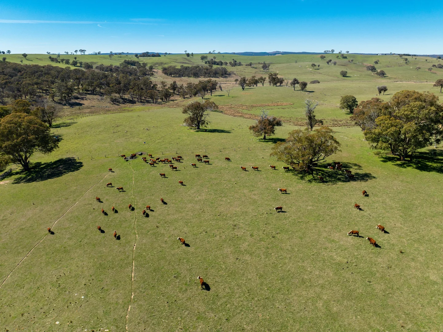 Additional image 6 of 5353 Trunkey Road, Trunkey Creek NSW 2795