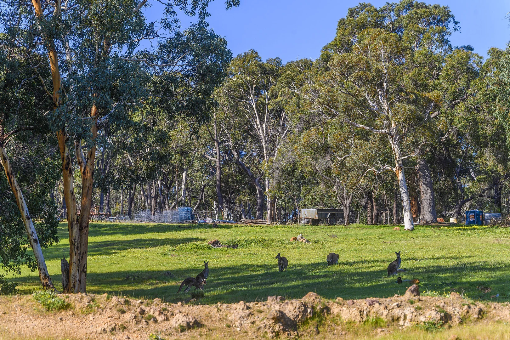 Additional image 34 of Guernsey Rise, Lower Chittering WA 6084