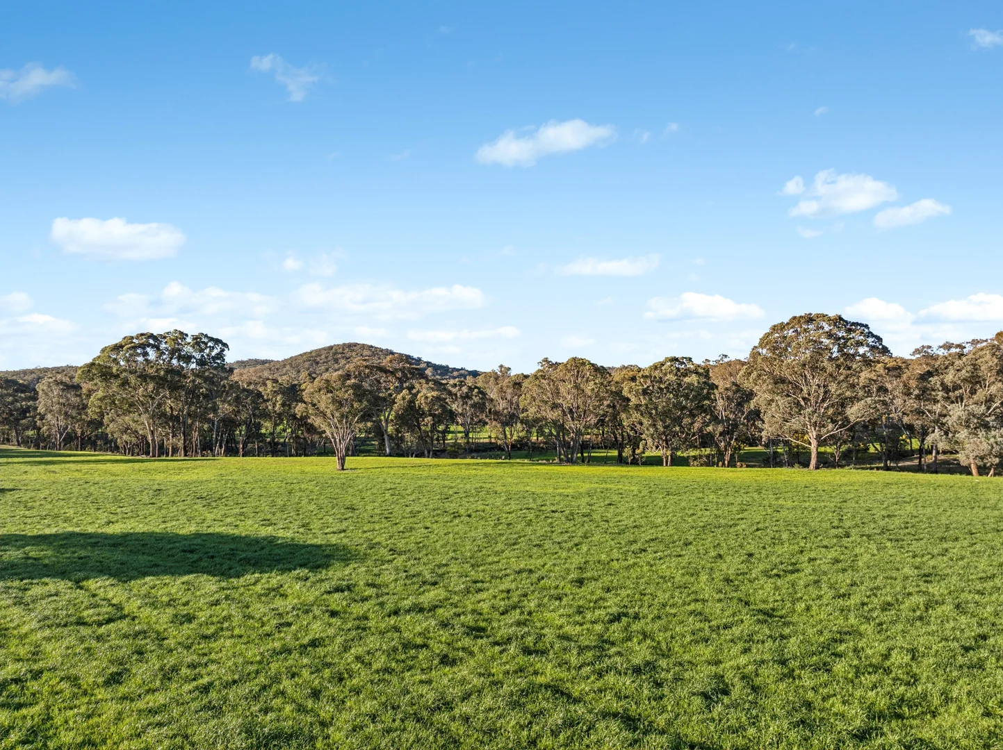 Additional image 18 of 318 Belgravia Road, Orange NSW 2800