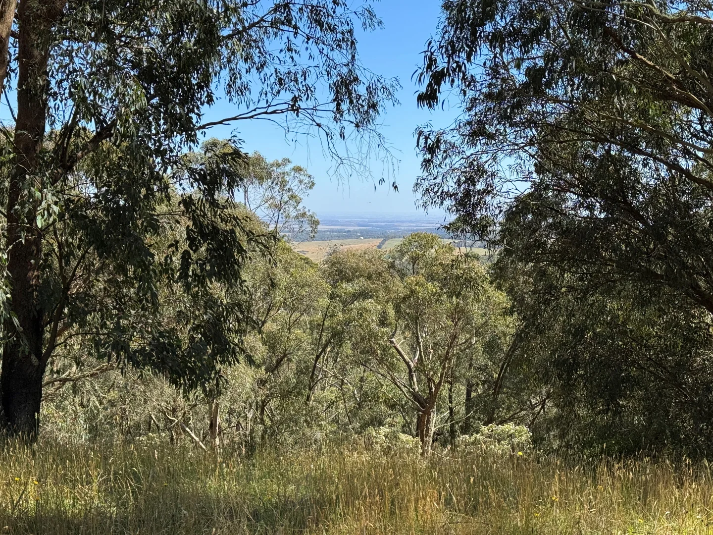 Additional image 10 of 575 Deans Marsh Lorne Road, Deans Marsh VIC 3235