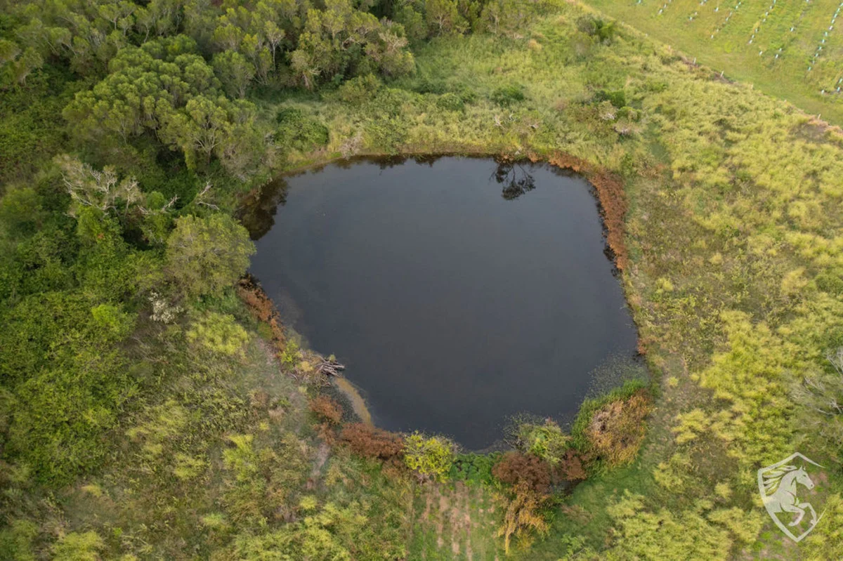 Additional image 19 of 131 Schubels Road, Marburg QLD 4346