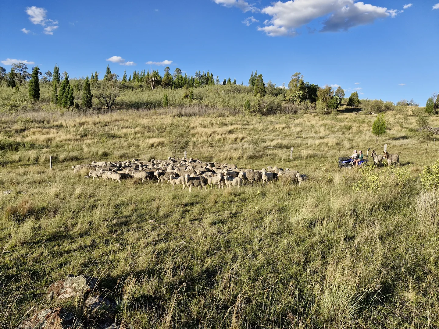 Additional image 24 of 60 Windorah Road, Inverell NSW 2360