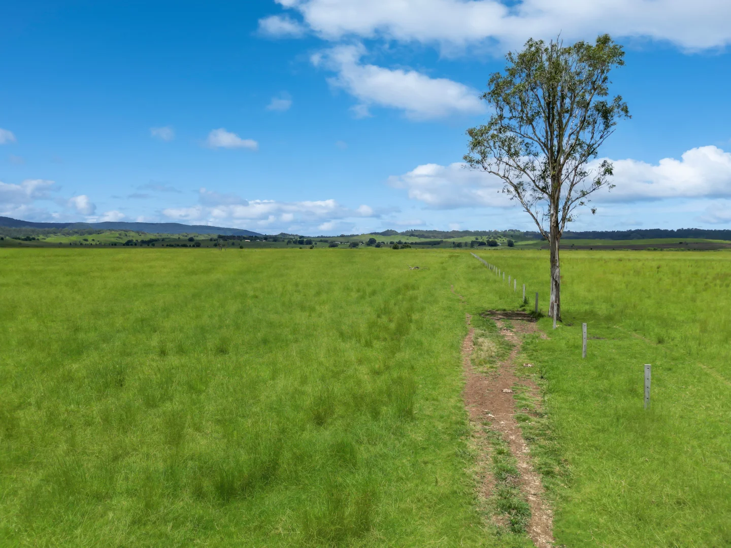 Additional image 8 of 89 O'Connors Road, Fairy Hill NSW 2470