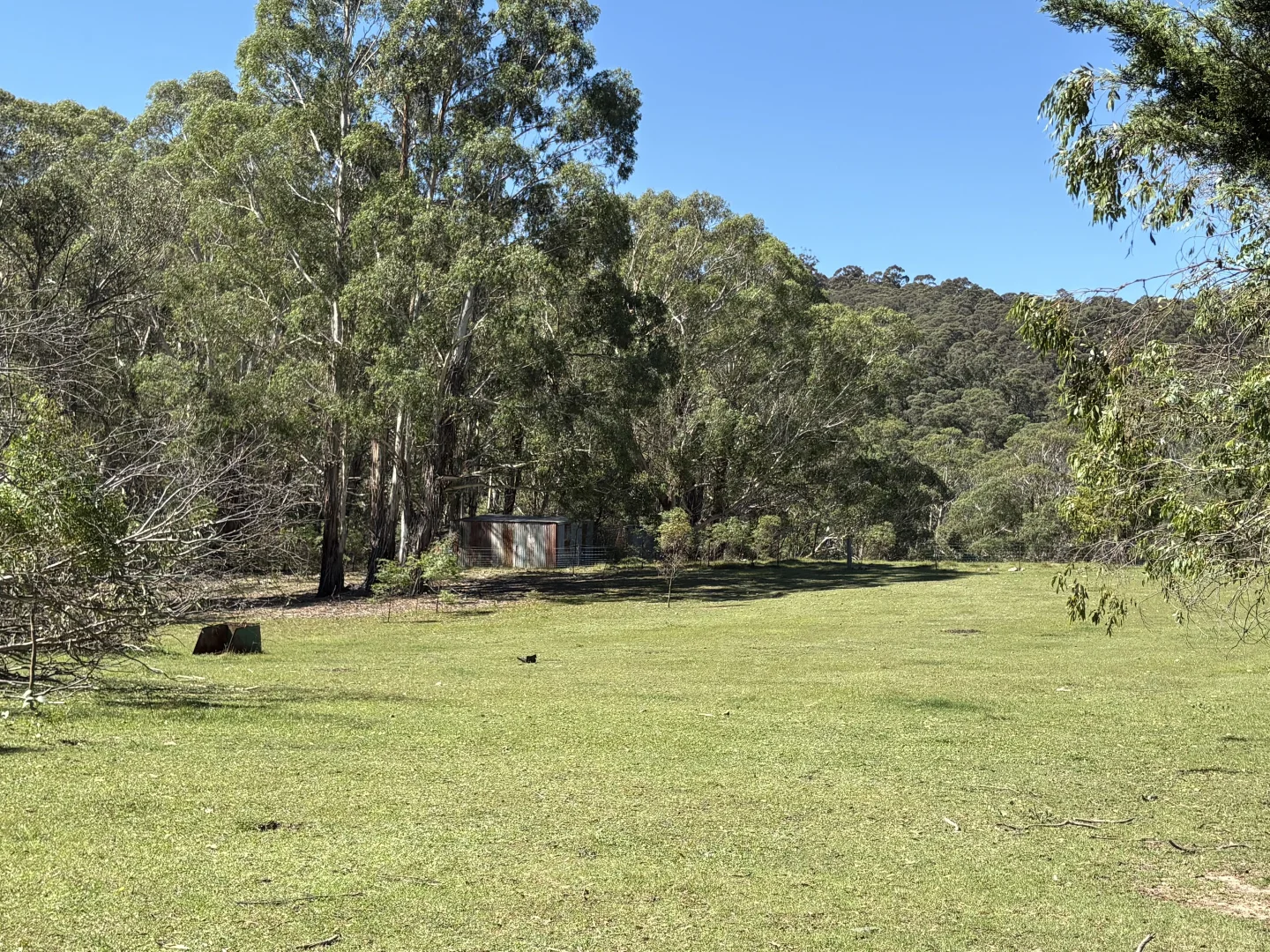 Additional image 20 of 51 Griffins Road, Wyanbene NSW 2622