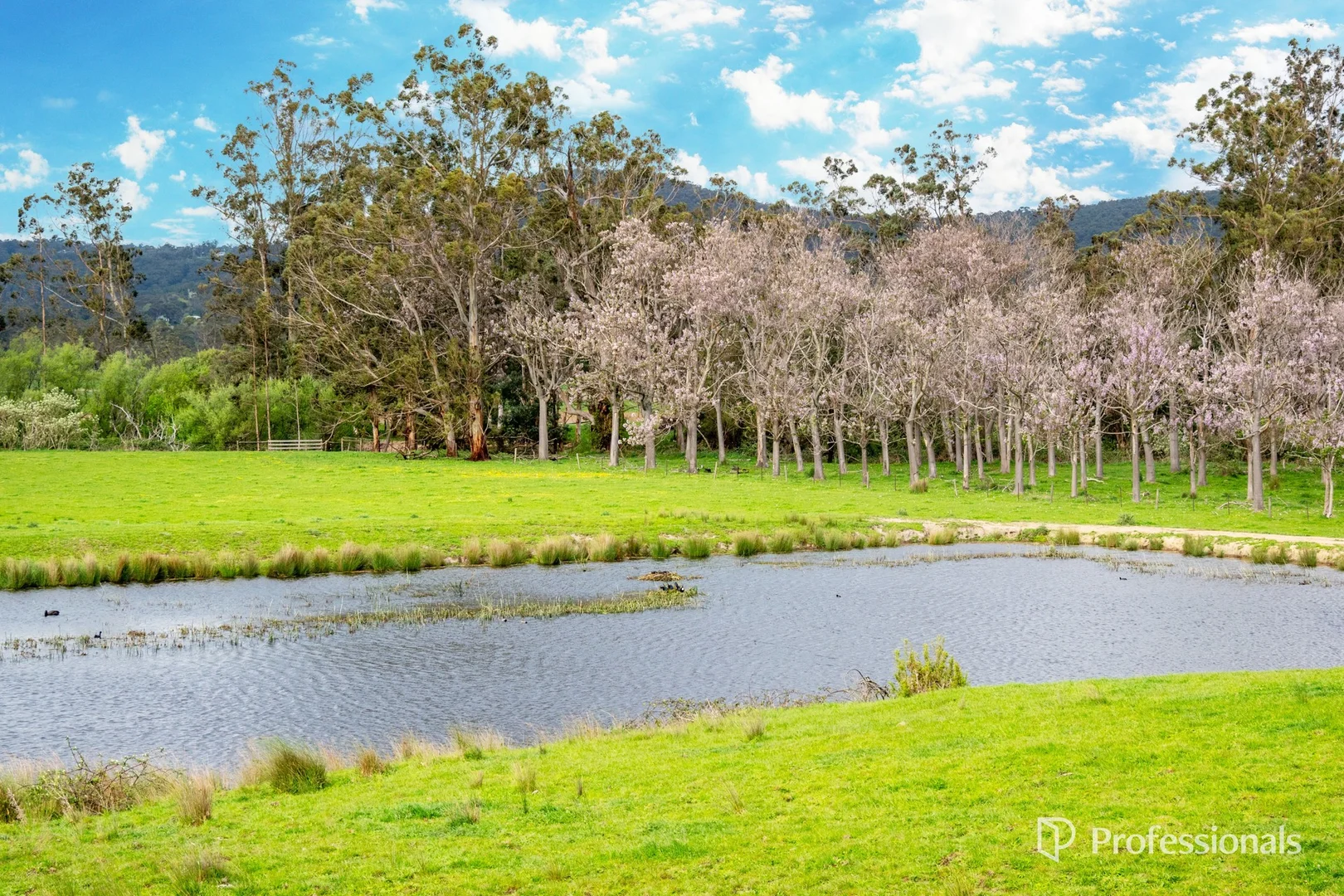 Additional image 22 of 230 Station Road, Wesburn VIC 3799