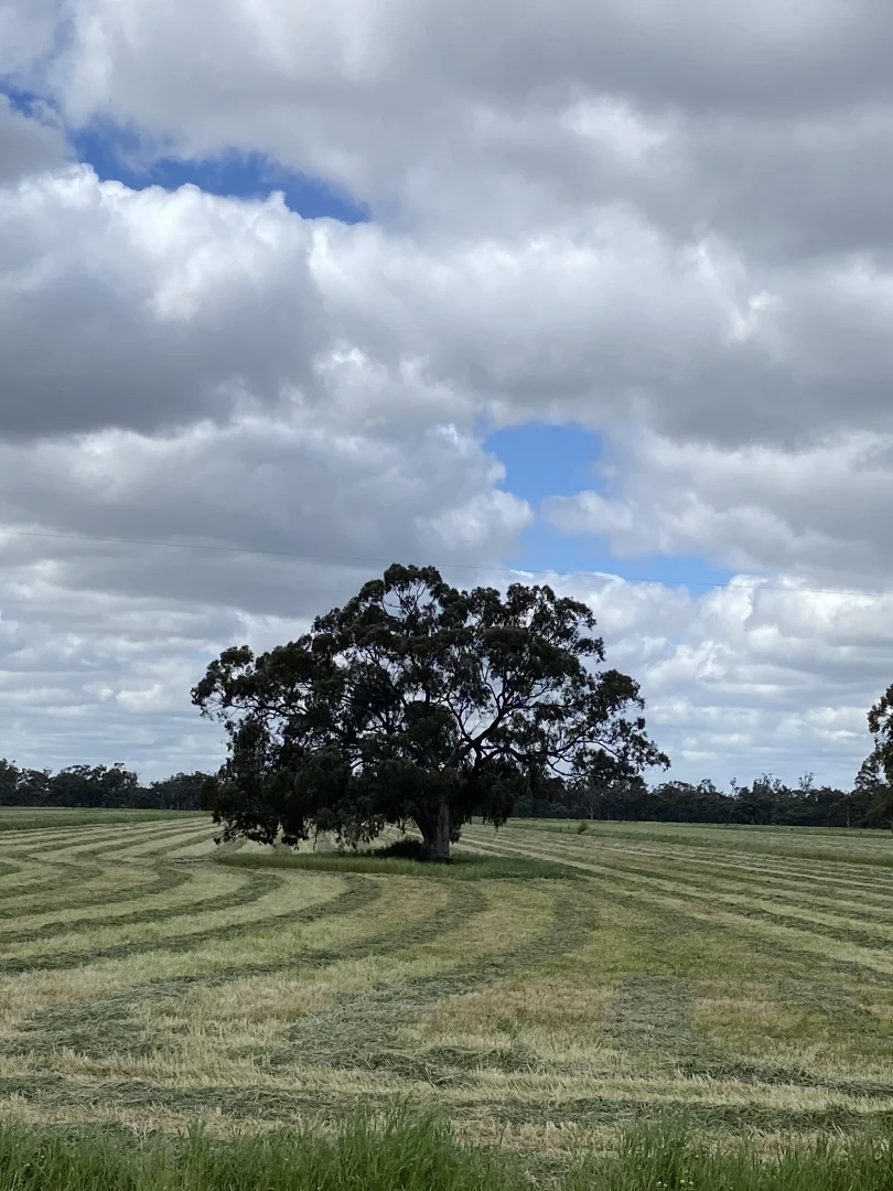 Additional image 53 of 'Wetuppa' 245 Fisher Lane, Wetuppa NSW 2734