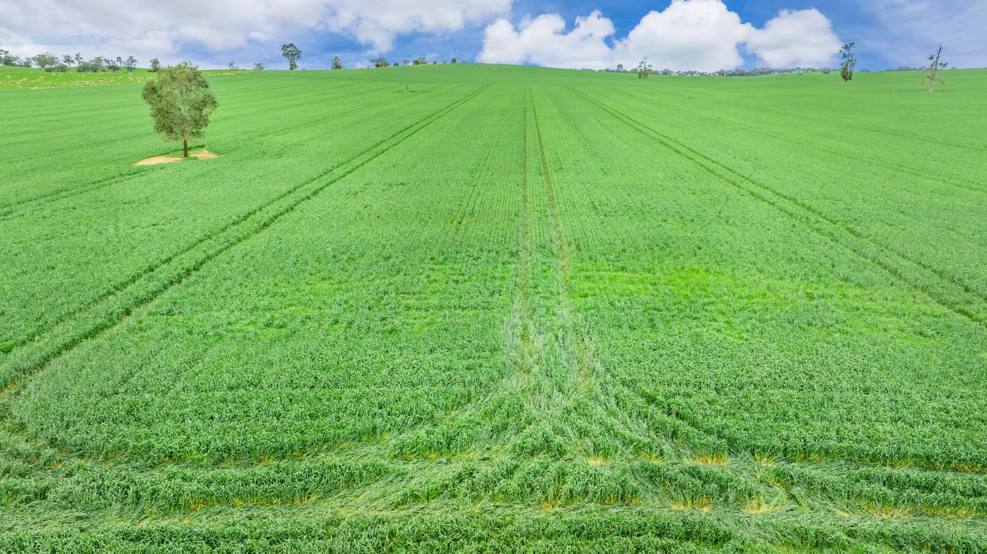 Additional image 4 of 1516 Osborne Pleasant HIlls Road, Pleasant Hills NSW 2658