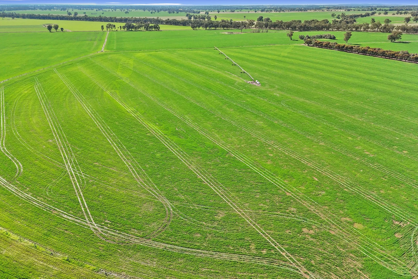 Additional image 9 of 1113 Baringhup-Eddington Road, Baringhup VIC 3463