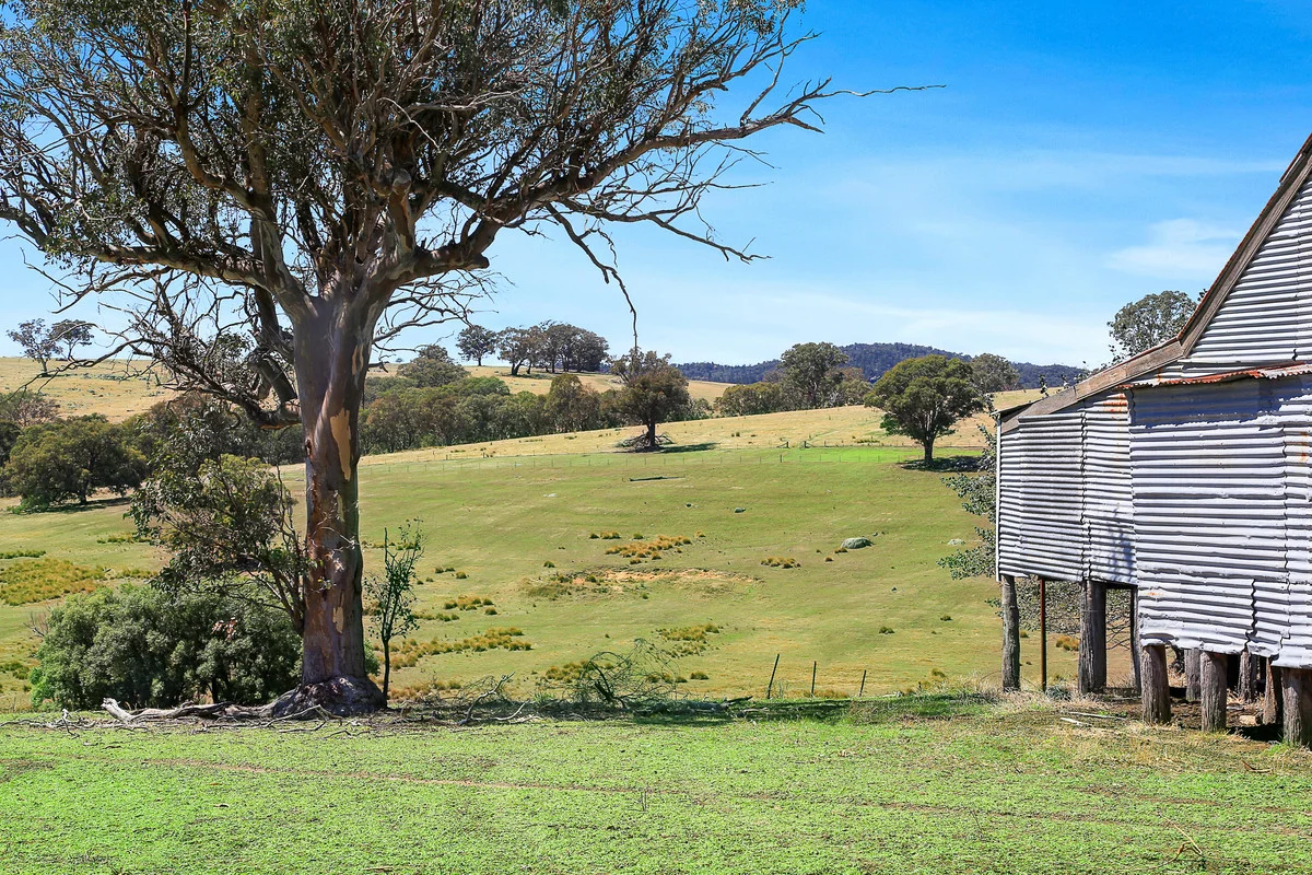 Additional image 11 of 46 Hearn Street, Bigga NSW 2583