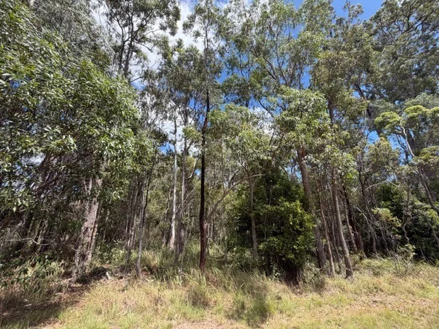 Additional image 8 of 37 Raintree Avenue, Burrum Heads QLD 4659