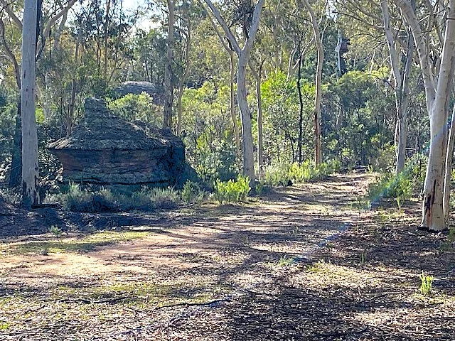 Additional image 5 of 150 Reedy Creek Road, Rylstone NSW 2849