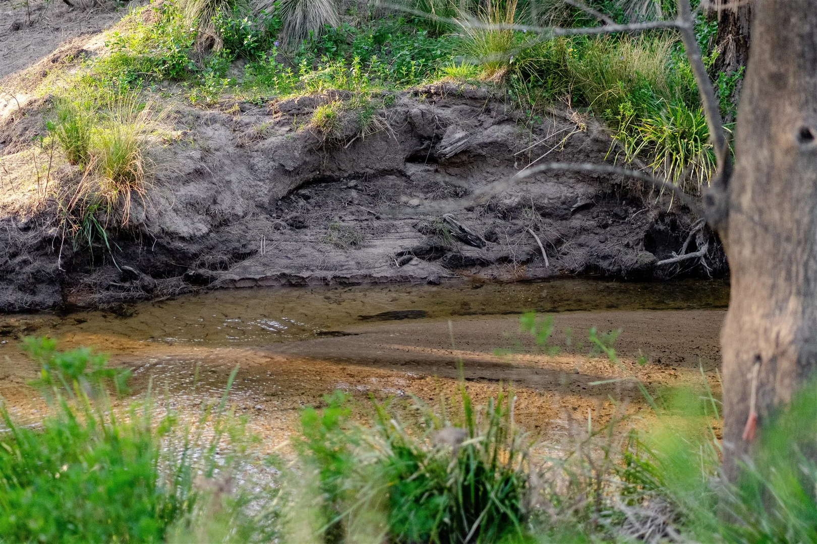 Additional image 38 of Belanglo NSW 2577