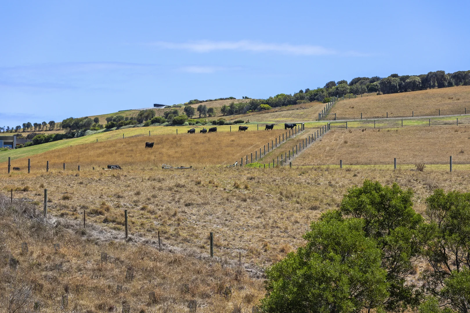 Additional image 5 of 37 Glenvale Road, Flinders VIC 3929